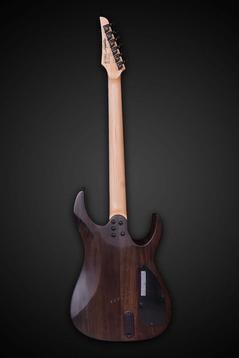 ギター　レフティ　Left LH N6FSS-LH (Left-Handed) – Legator Guitars US