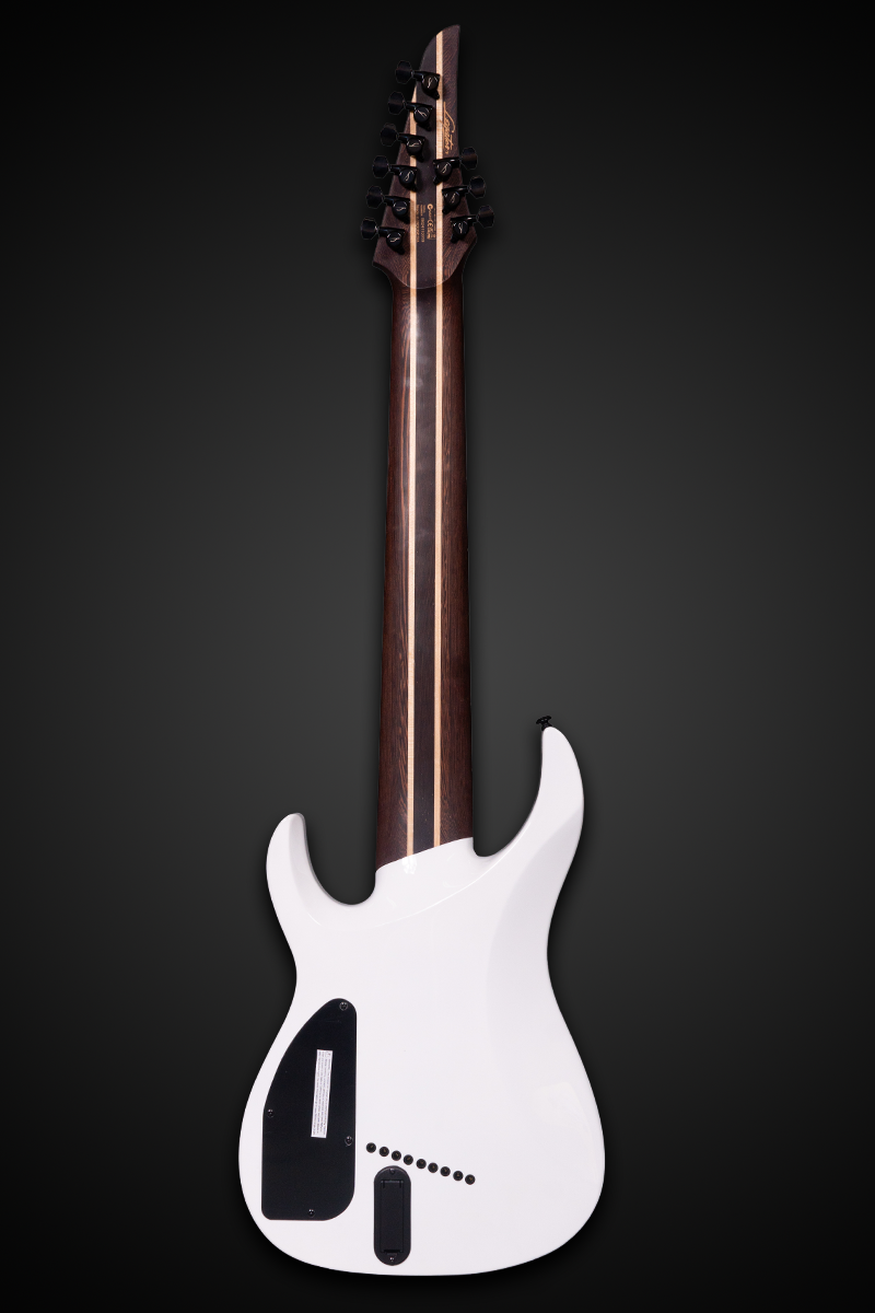 ギター NAO chiralnirvana82528ebmodssgreen