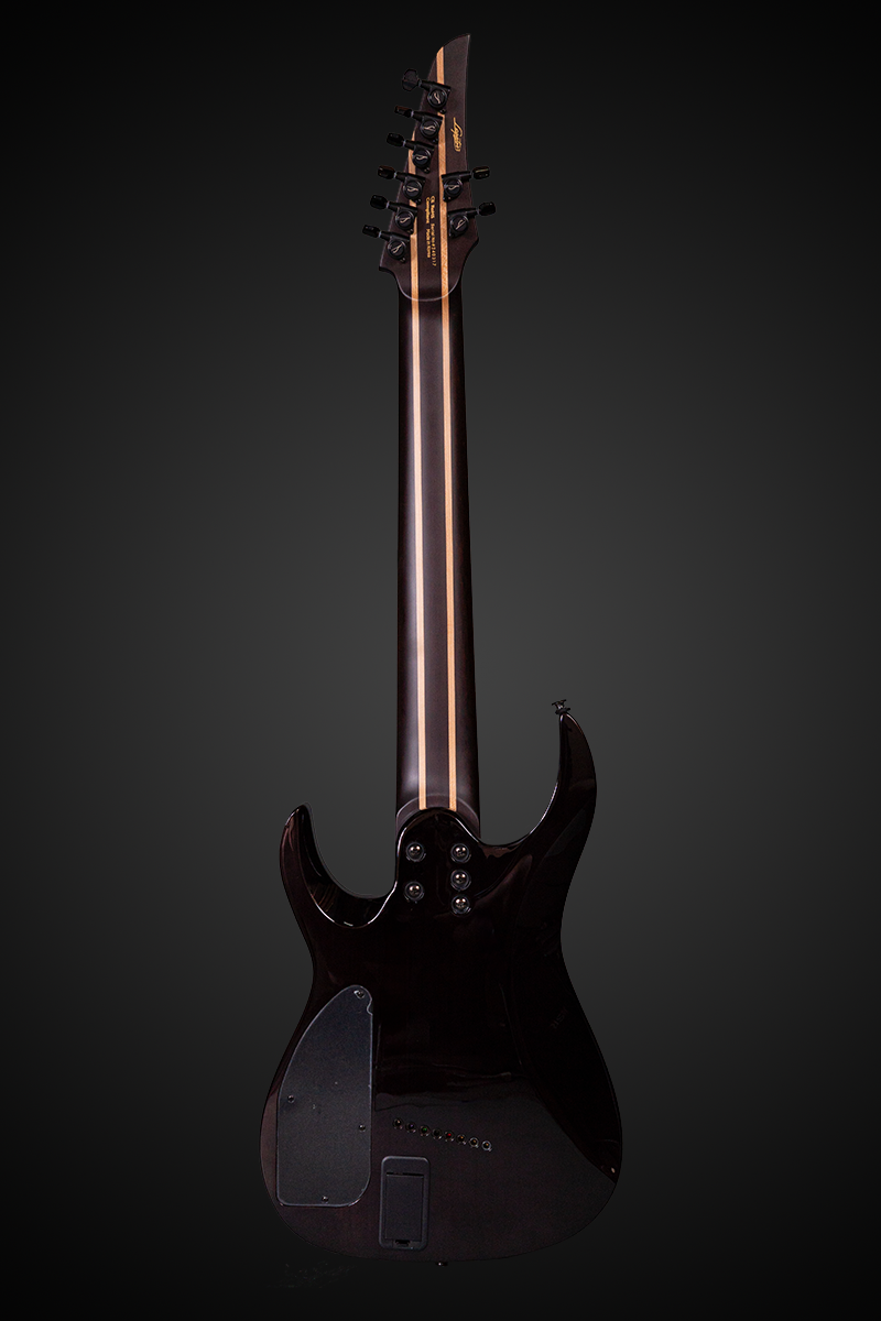 Ninja R200 Ninja X Series – Legator Guitars US